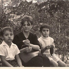 dominiquei
