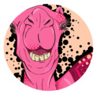 theelatedcamel