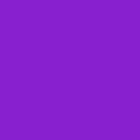 PurpleDesigner