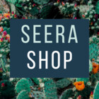 SeeraTheArtist