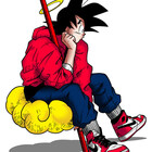 Ruroni