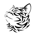 Redbubble profile picture for @nn630475
