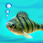 fishwithout