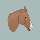 CrunchyDumpling