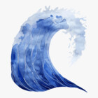 saltwaterco