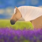 Poniesandpaper