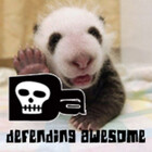 DefendAwesome