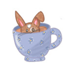 bunnyhopshop
