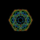 MoLecULaR-biO