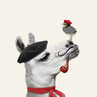 senor-spencer