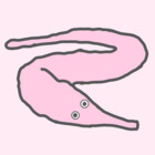 LemonWorms
