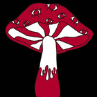 MaunaLoa77