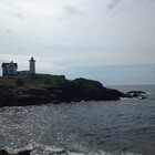 mrainey