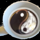 cafe-muse