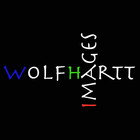 WolfHarttImages