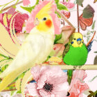 RosemapDesigns