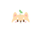 my-sheeb