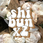 shibunx2