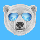 polarqueen