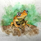 ReptileAmphibia