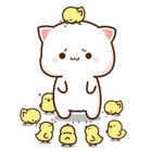 mangoquackers