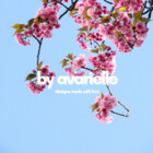 byavarielle