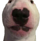 ghostpp