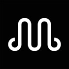 MishaLine