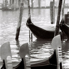 Redbubble profile picture for @Venice