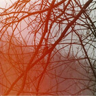 risetoday012
