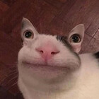 aikaw