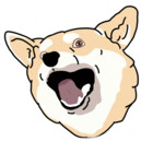 CorgDesigns