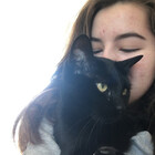 listolove