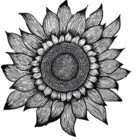 handdrawnart