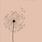 illustrationsnz