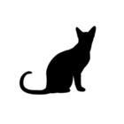 therationalcat