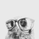 nightowl81