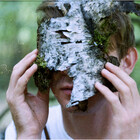 insoil