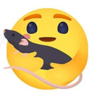 ladyratto