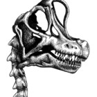 illustravery