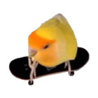 JJTucki