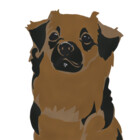 paperfig