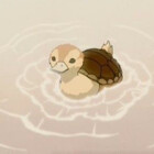 0Turtleduck0