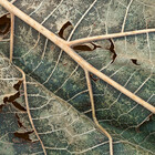 TextureWorld
