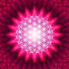 plusminusco