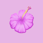 justlookiin