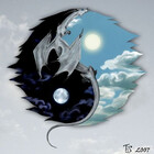 DragonMX6