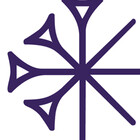 BRANEcollective