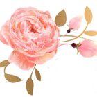 SouthernRose