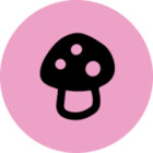 ktsporedesigns